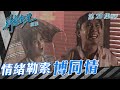 新紮師兄續集｜情緒勒索博同情｜繁／簡字幕｜劉嘉玲｜孫明光｜第28集劇集精華｜TVB港劇精華