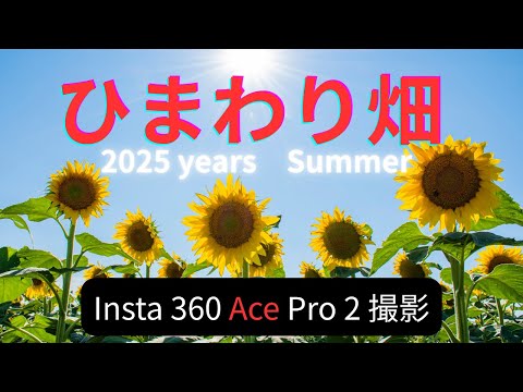 【2025年夏】 【ひまわり畑をInsta360 Ace Pro 2で撮影】