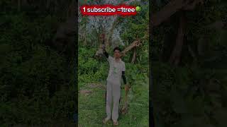 1 subscribe=1tree🌳suport please 🙏thank you so much #playstation #treeoflife #treework #playstation