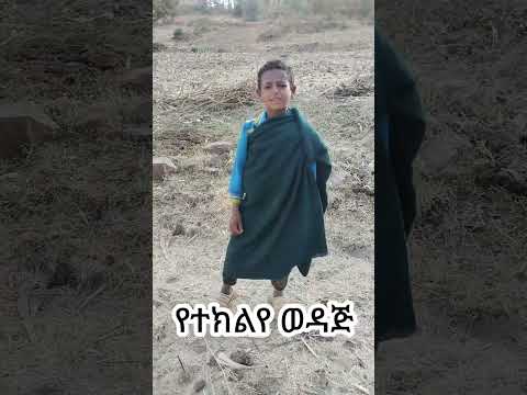 ተክለ ሃይማኖት አባቴ