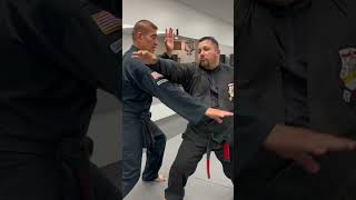 Imagine The Intent kenpo motionphysics bodystructure maximizingpower martialartstraining