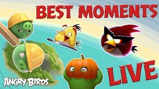 Angry Birds Best Moments LIVE! 24/7 🔴 | Angry Birds