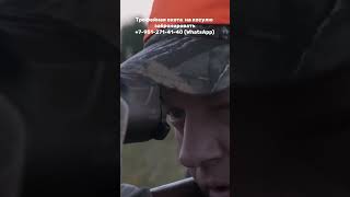 Trophy Roe Deer Hunting In Russia