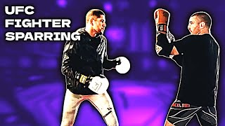 Top UFC Fighters Sparring - Pro Fighter Gym Highlights