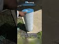 Green To Clean! My Pool Repairs Cleaning Service. #mypoolrepairs #pool #floridapools #fyp #shorts