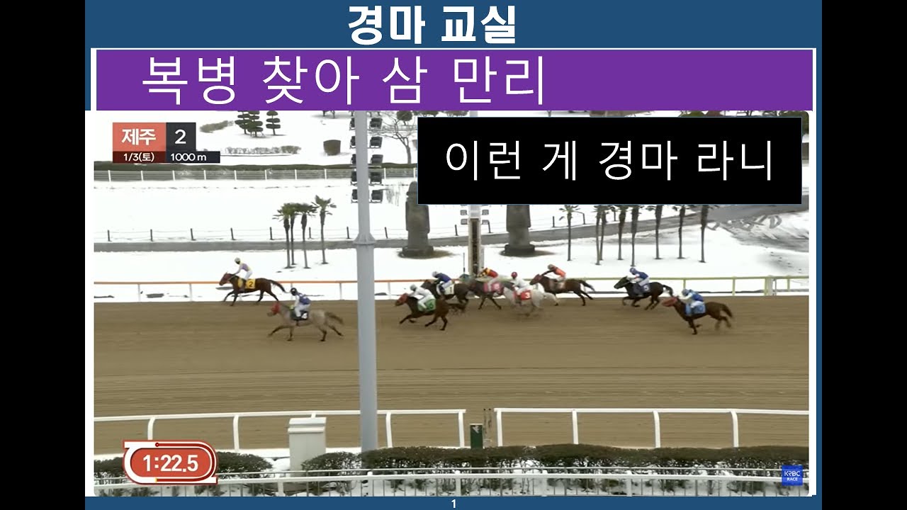 복병찾아 삼만리/ 경마교실/ 경마분석/ 경마공부/ 경마예상