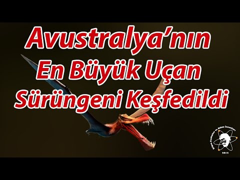 Avustralya’nın En Büyük Uçan Sürüngeni Keşfedildi