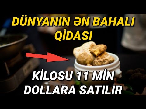 Video: Dünyanın ən Bahalı Qidası