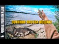 НАДУБАСИЛИ ОСЕННЕЙ ПЛОТВЫ НА ФИДЕР | FishingVideoUkraine