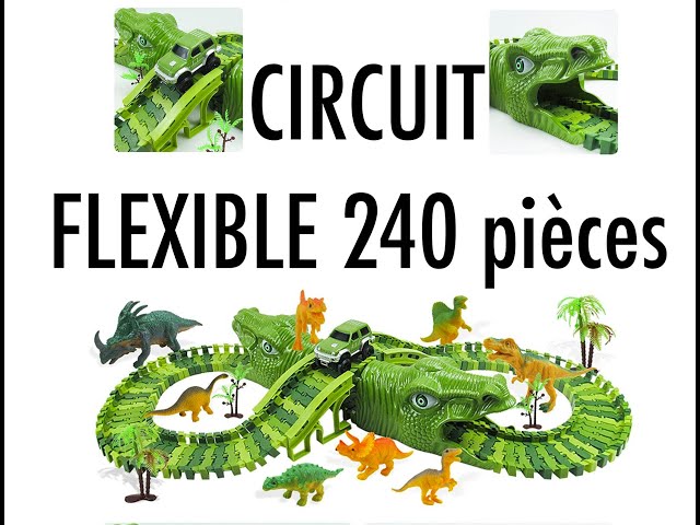 Circuit Dinosaure flexible