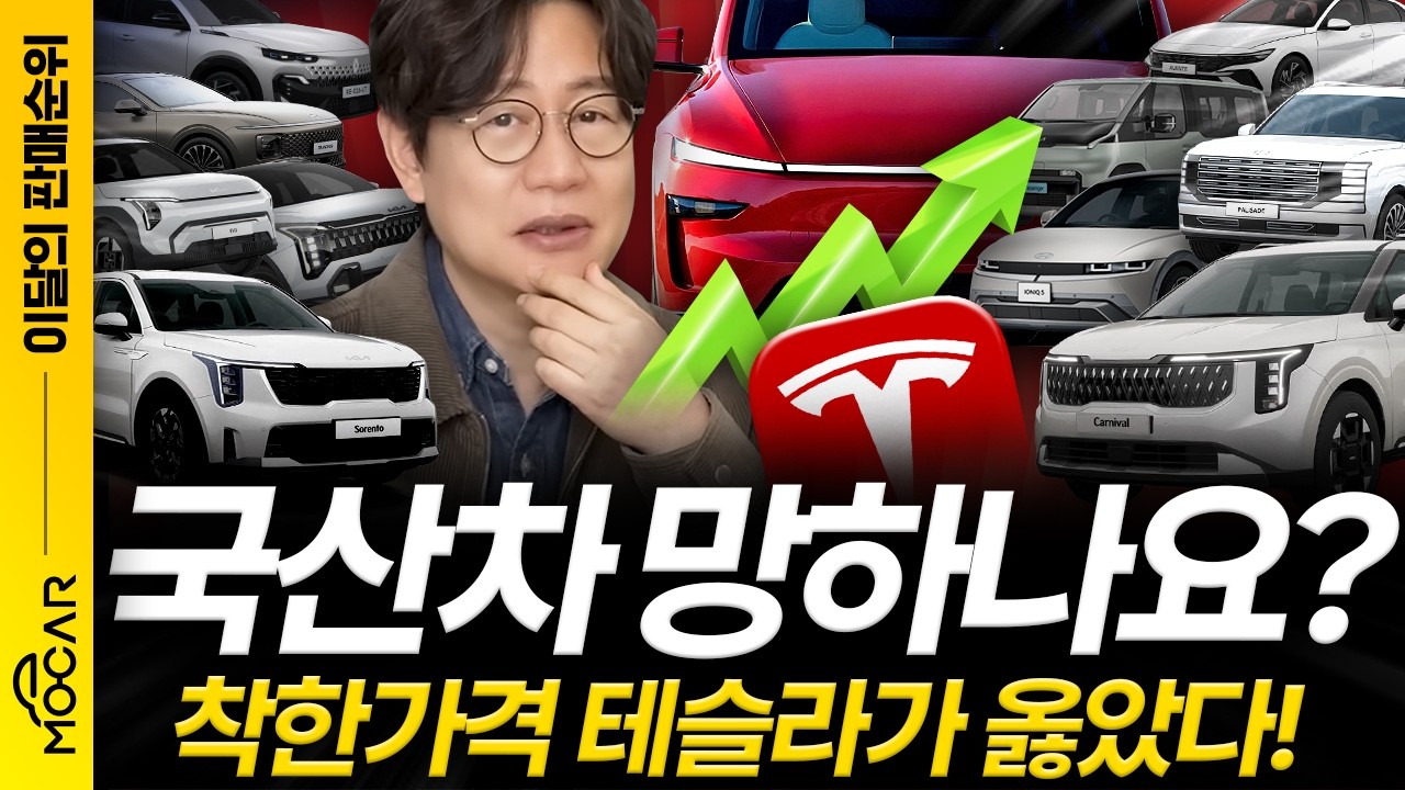 그랜저 아반떼보다 테슬라 모델Y가 훨씬 많이 팔려?! 이젠 전기차 시대! - 2월 판매순위