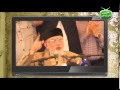 Umeed Hain-15 2014 (Bezti Hogai