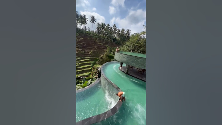 Inilah Mengapa Wisata Alam Ubud Bali Di Sukai Turis mancanegara #shorts #bali