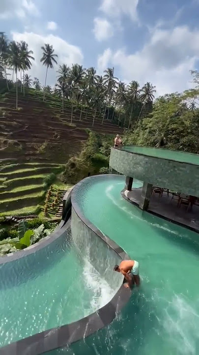 Inilah Mengapa Wisata Alam Ubud Bali Di Sukai Turis mancanegara #shorts #bali
