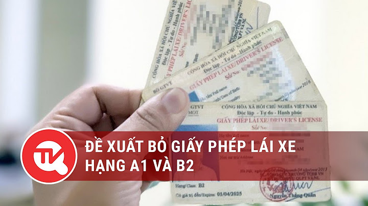 Giấy phép lái xe 2 bánh là hạng gì năm 2024