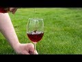 Домашнее сухое вино Классический способ приготовления. Часть 1