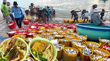 Làng Biển Phước Thể Gió Mùa Tây Nam Cá Nục Cá Ngân Cá Éc Tươi Ngon | P 388