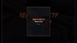 테슬라 2배 ETF, 변동성의 두 얼굴 티커: TSLL