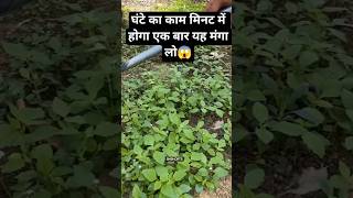 Ghas Saaf Karne Ka Tool 😱🌿 | Amazing Gardening Tool | #shorts