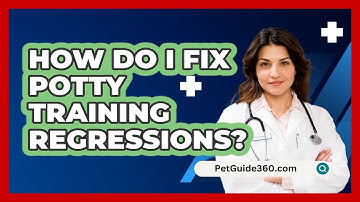 How Do I Fix Potty Training Regressions? - PetGuide360.com