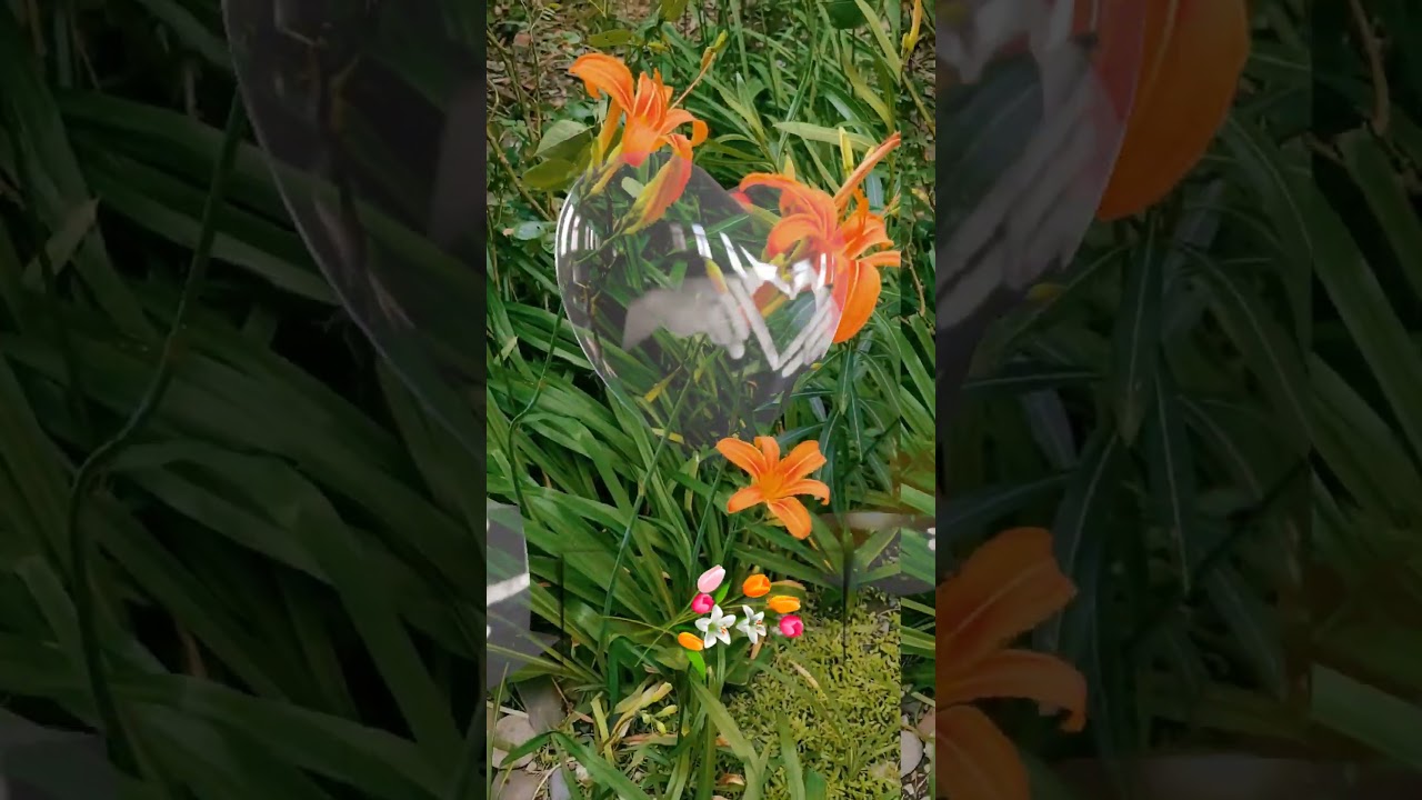 #цитаты #nature #мелодия #music #природа #цветы #shortsyoutube #лето #flowers #жизнь #прекрасно