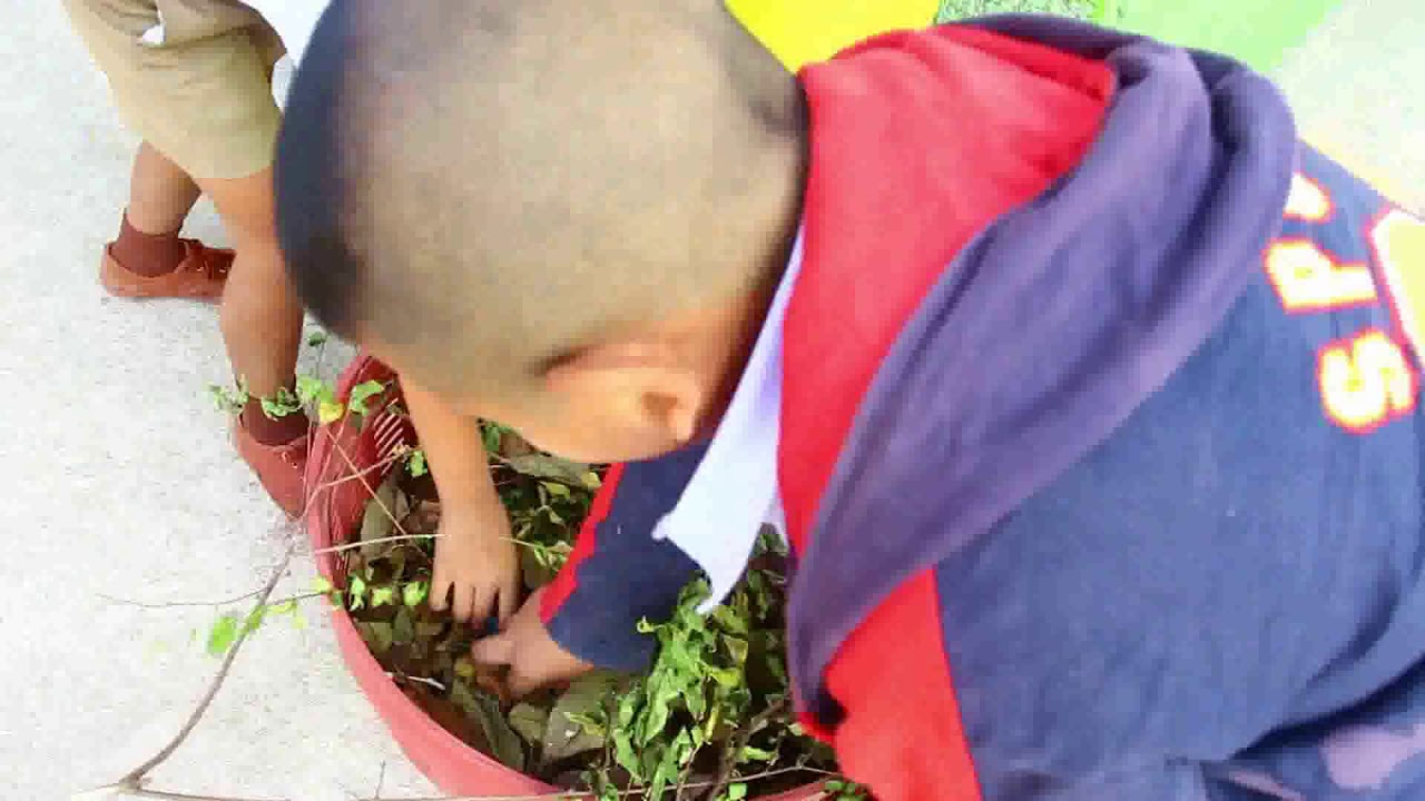 โครงการโรงเรียนปลอดขยะโรงเรียนวัดบ้านไร่