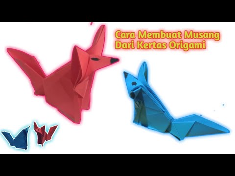 Video: Cara Menaikkan Musang