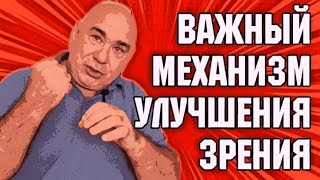 Каков наиболее важный механизм в деле улучшения зрения. Метод визуальных подсказок (МВП)