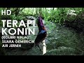 Terbaru Hd Terapi Stress Konin Kolibri Ninja Suara Alam Betina Kolibri Omkicau(.mp3 .mp4) Mp3 - Mp4 Download