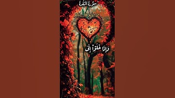 سورة البقرة من الأيه 11_15#المصحف #مع_القرآن #youtube #سورة_البقرة #تفاعل #القرآن_الكريم #اكسبلور