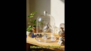Acrylic Cloches &amp; Display Cases: Versatile Elegance for Your Home &amp; Business