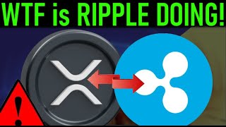 💥XRP $778 MILLION WORTH💥 WHAT IS RIPPLE DOING💥