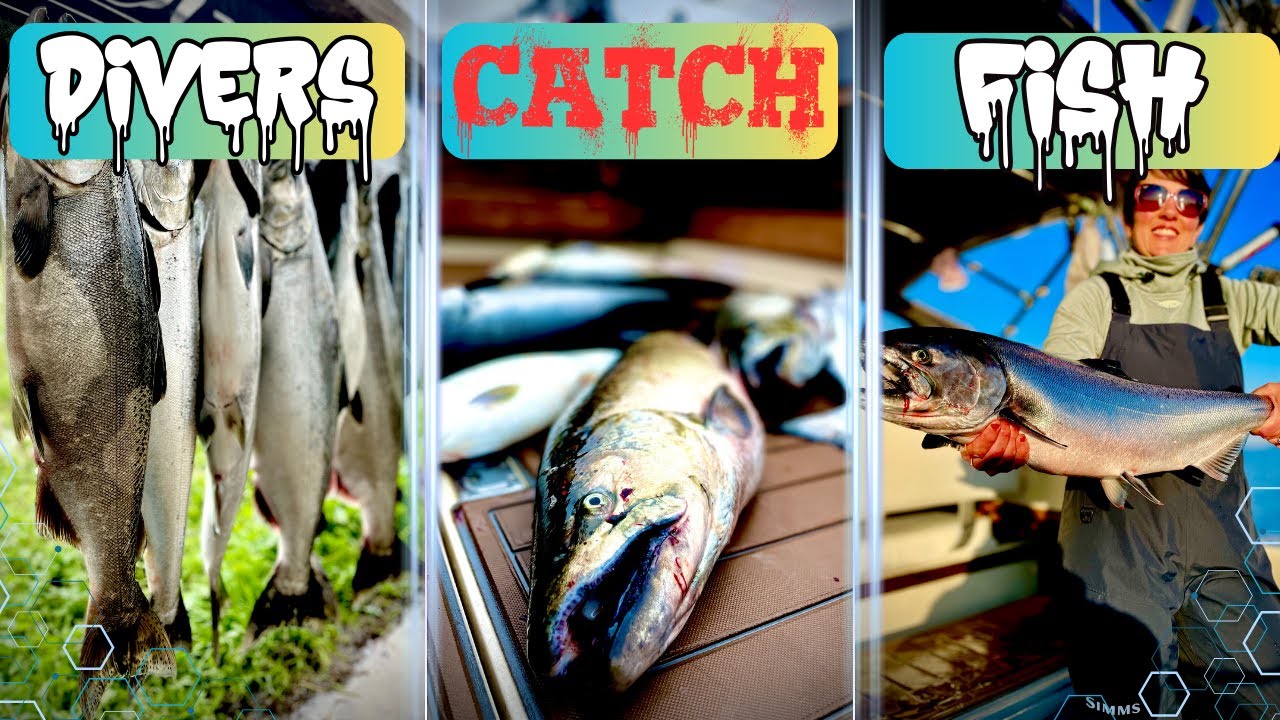 I've Spent over 20 years fishing Dipsy Divers: Here is What I've ...