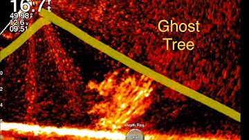 Garmin Livescope Ghost Reject: What Does It Do?!?!?