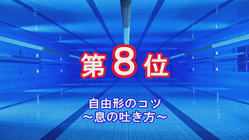 Download 息を吐く 自由形 Mp4 Mp3 Download 息を吐く 自由形 Mp4 Mp3