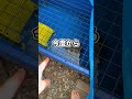 台風のせいで家が洪水になりました…