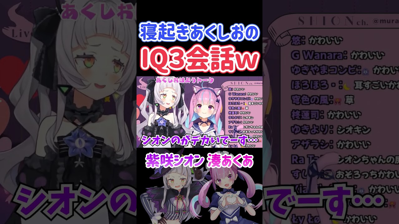 寝起きあくしおのIQ3会話ｗ【ホロライブ切り抜き/湊あくあ/紫咲シオン】#shorts