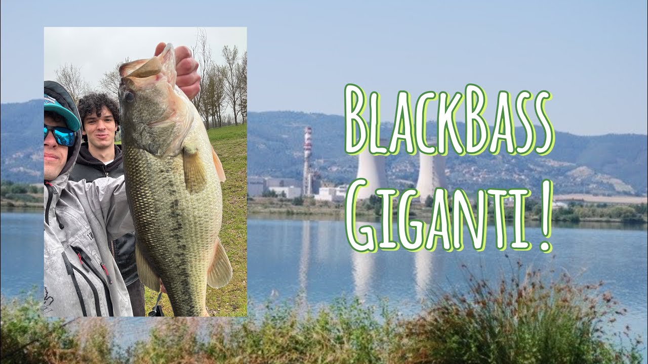 PESCA AL BLACK BASS NEL LAGO DI PIETRAFITTA *BIG BASS*(4K)