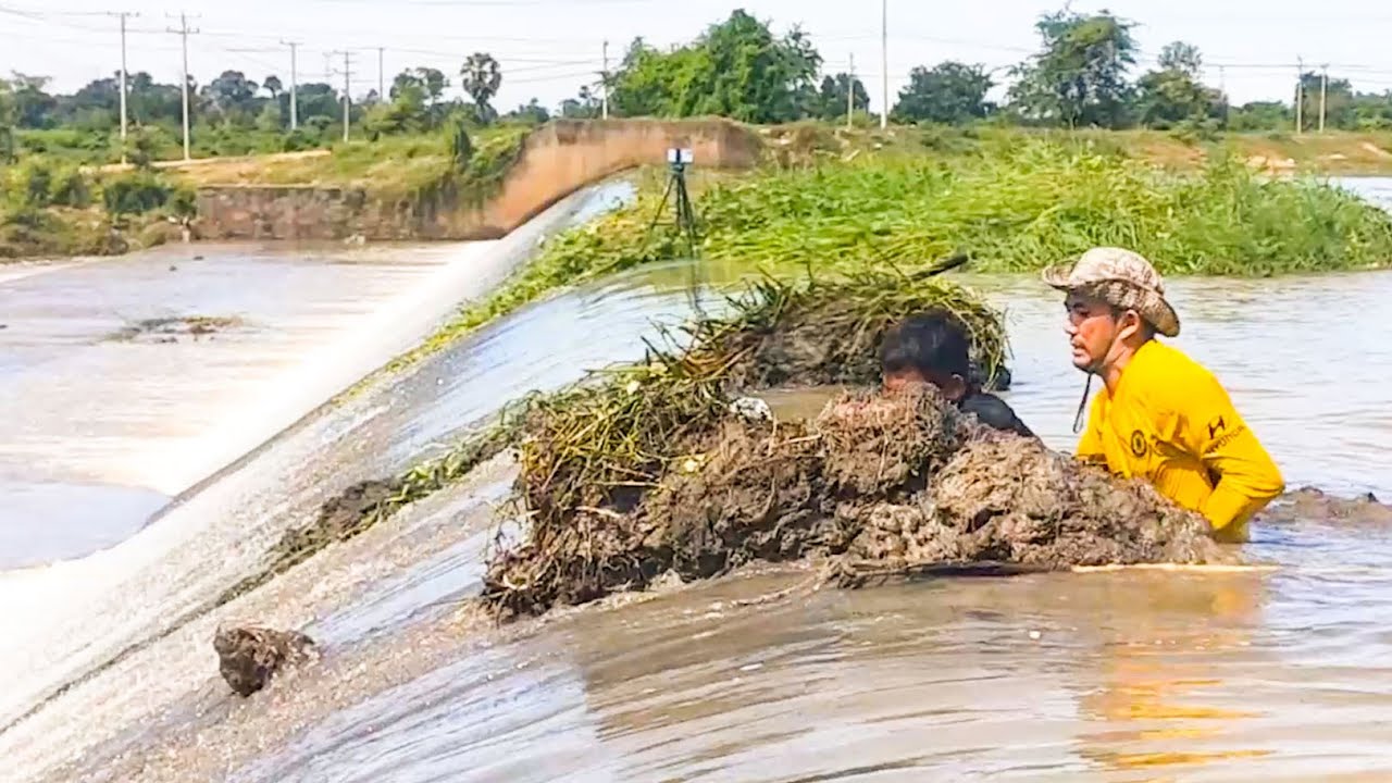 Try And Hard Day To Remove Floating Plants Clogged On Massive Dam After Heavy Rain