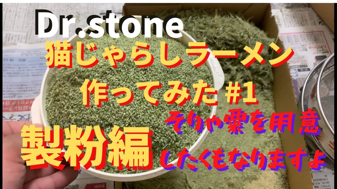 Dr Stone 猫じゃらしラーメン作ってみた 1 製粉編 Youtube