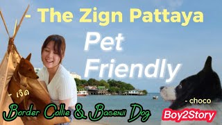 พาหมาเที่ยวพัทยา The Zign Hotel Pattaya เดอะซายน์ พัทยา #PetFriendly #คนได้พักสัตว์ได้เที่ยว