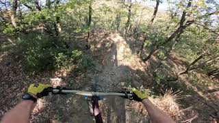 Canoha final