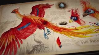 Harry Potter and the Chamber of Secrets Illustrated Edition Animated Book Trailer