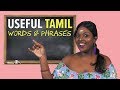 Basic Tamil Words & Phrases You Should Know By Now | NANDINI SAYS