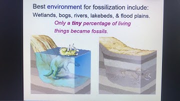 Biology lecture: How fossils are Made evolution Lecture 1 of 2