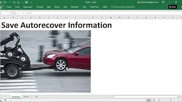 Save AutoRecover Information