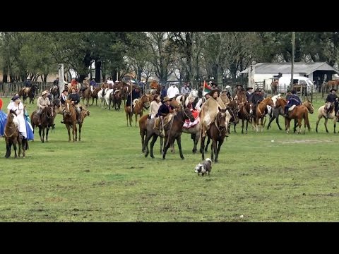 Concentración desfile de Los Patricios el 25 de agosto en Florida