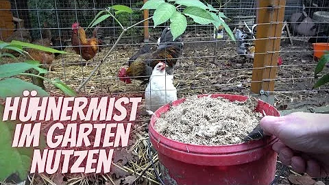Welche Pflanzen kann ich mit Hühnermist Düngen?