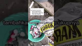 How To Revive A Dead Fish Tiktok Viral