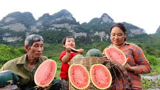 One beautiful day, father and son harvested melons to sell, grew vegetables, and lived with nature by Lý Thị Chanh 6,271 views 8 days ago 25 minutes